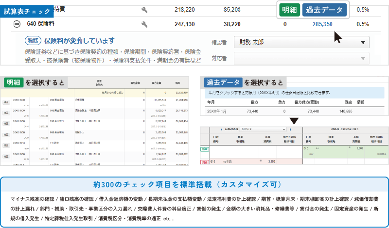 会計データチェック機能